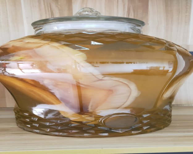 紅茶菌
